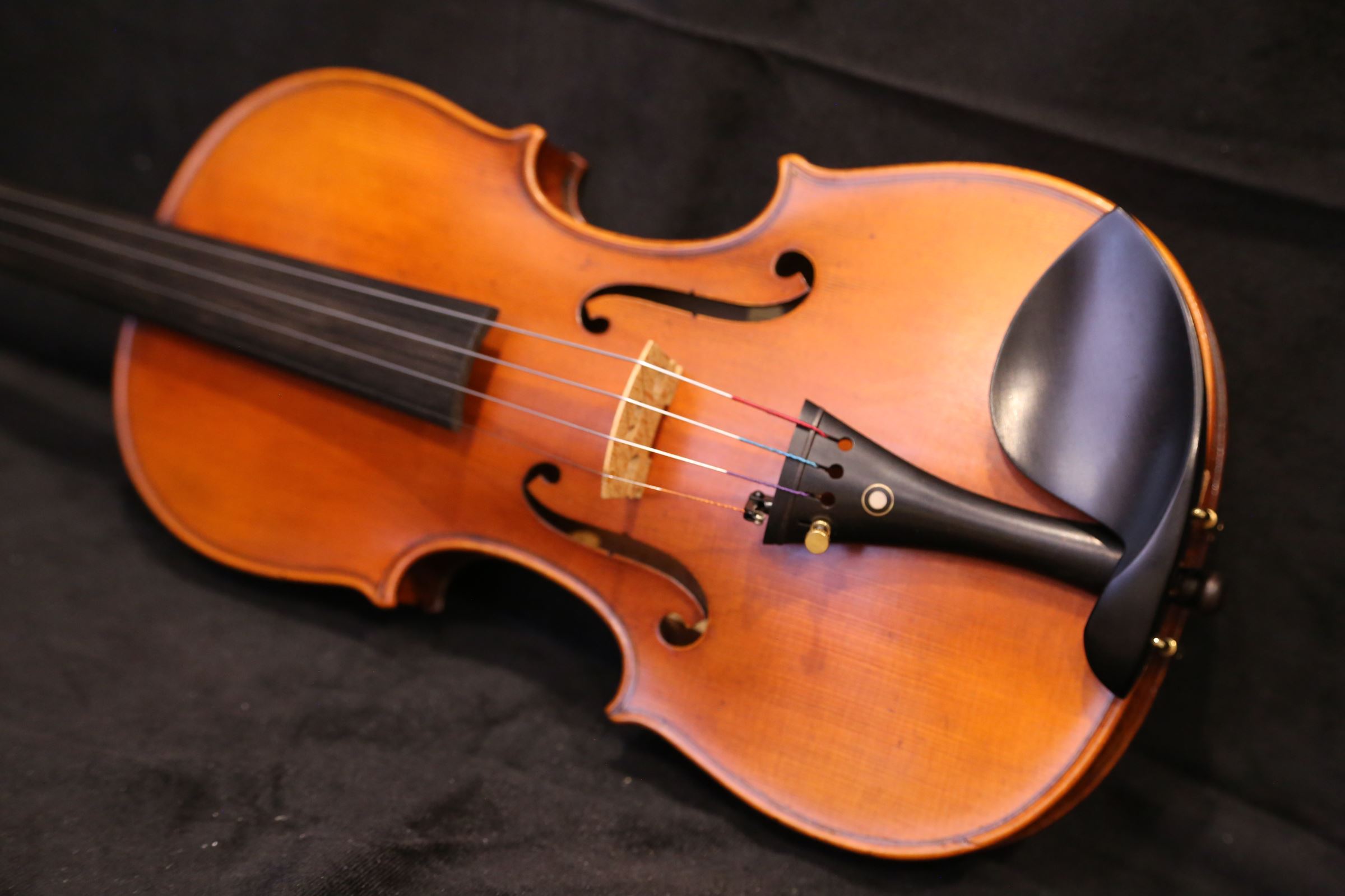 画像8: Ma工房 左利き用・バイオリン・ファインレベル２ピースバック Lefty Violin