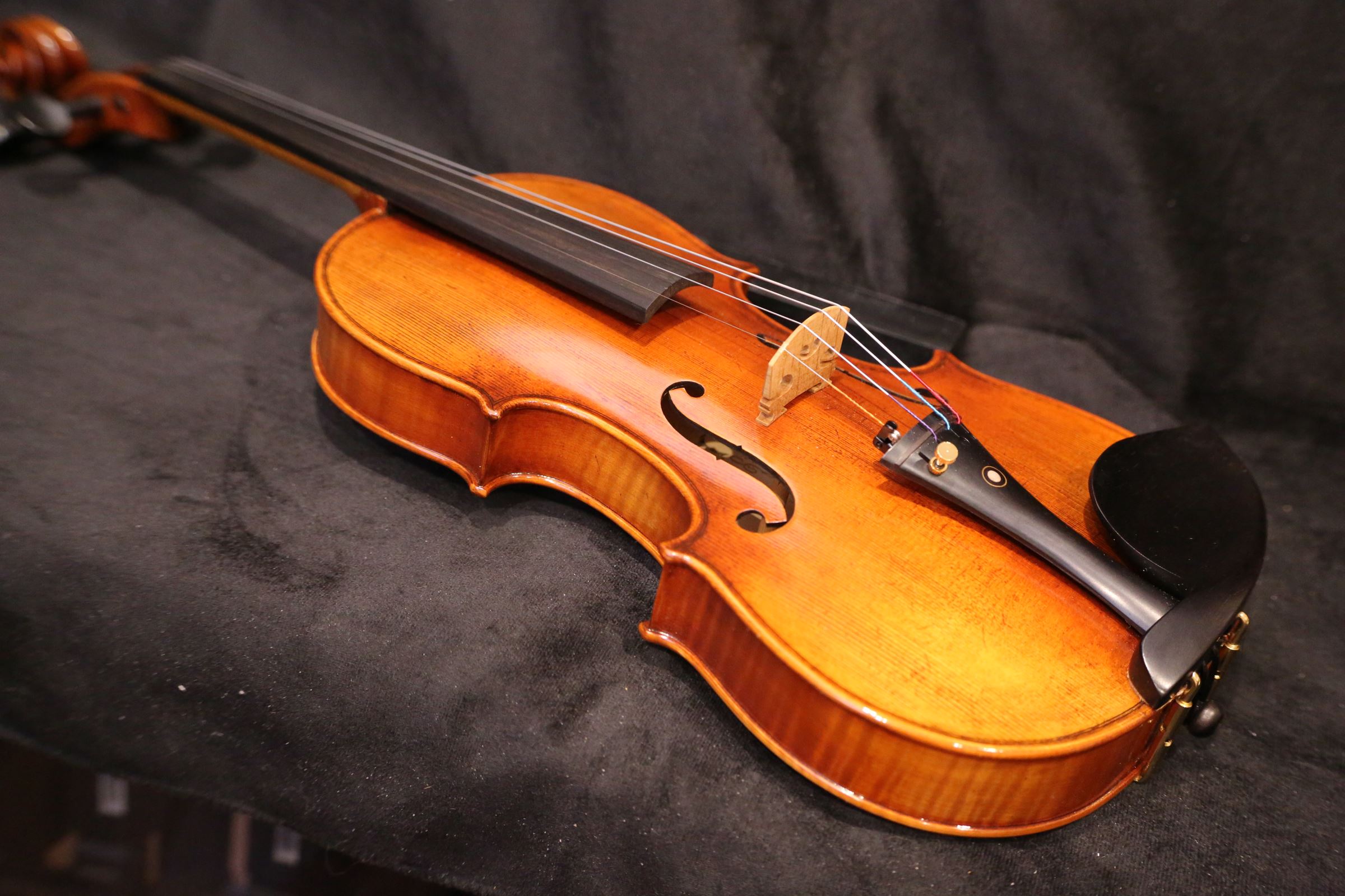 画像18: Ma工房 左利き用・バイオリン・ファインレベル２ピースバック Lefty Violin