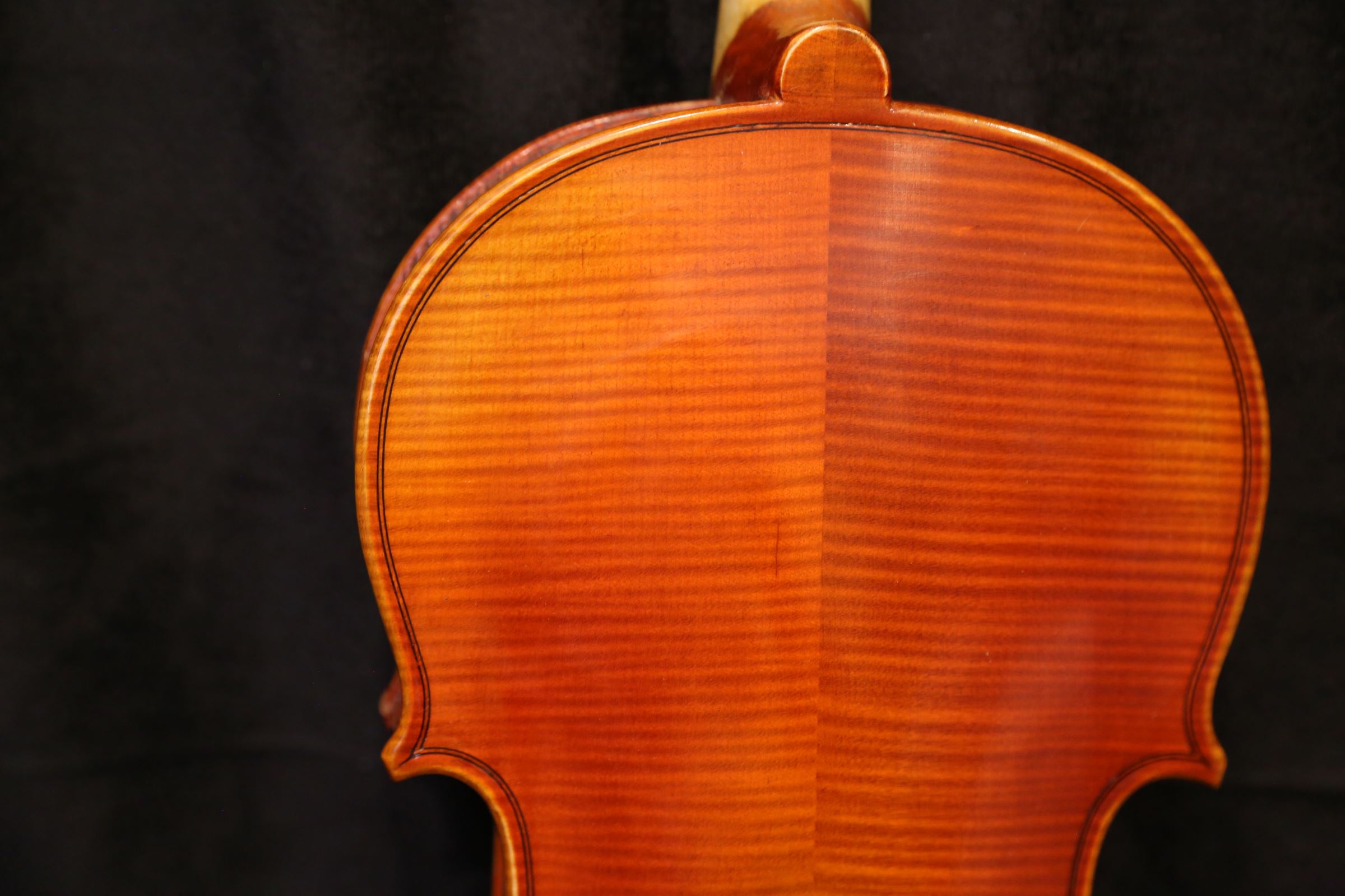 画像5: Ma工房 左利き用・バイオリン・ファインレベル２ピースバック Lefty Violin