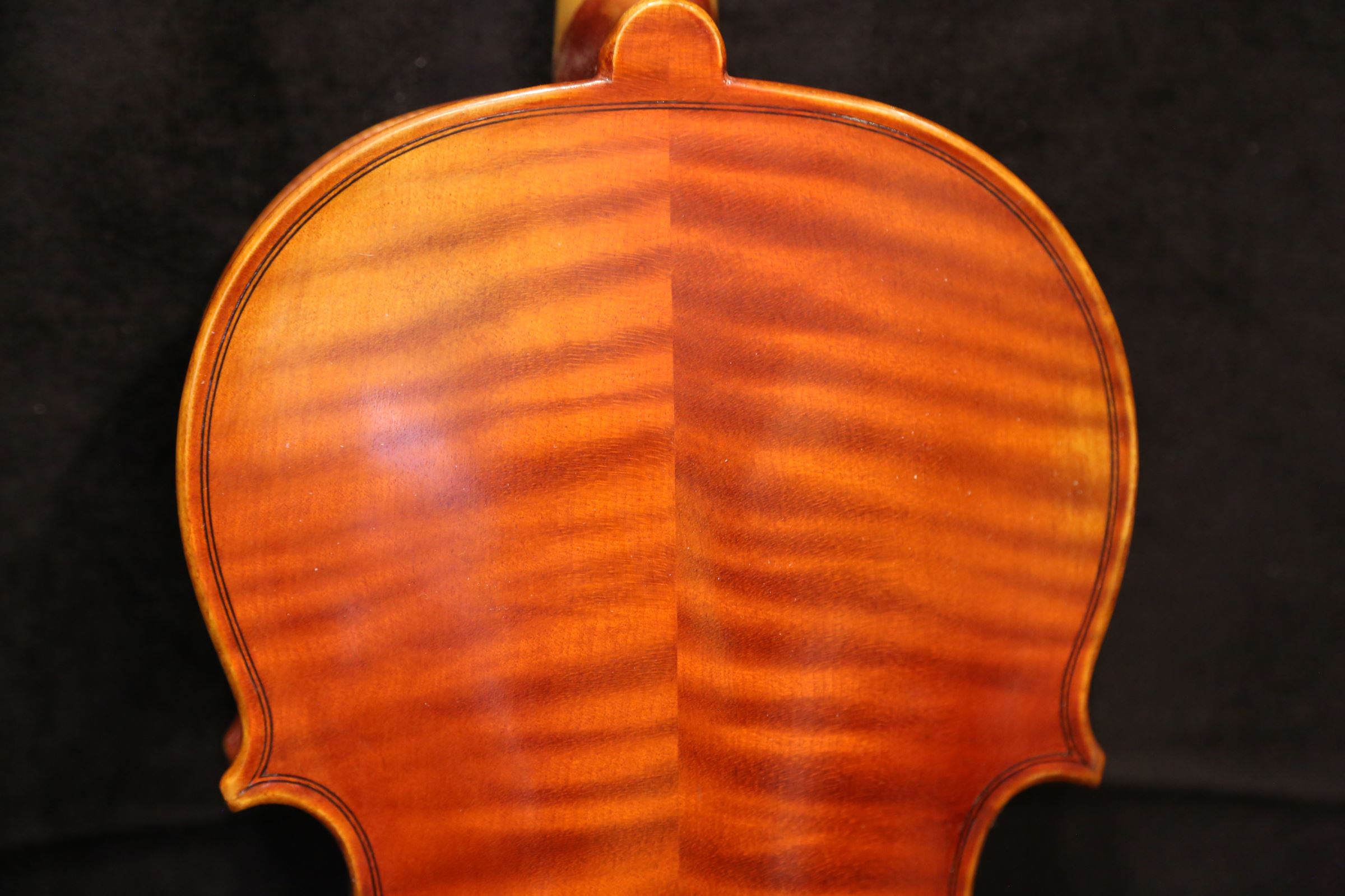 画像5: Ma工房 左利き用・バイオリン・ファインレベル２ピースバック Lefty Violin