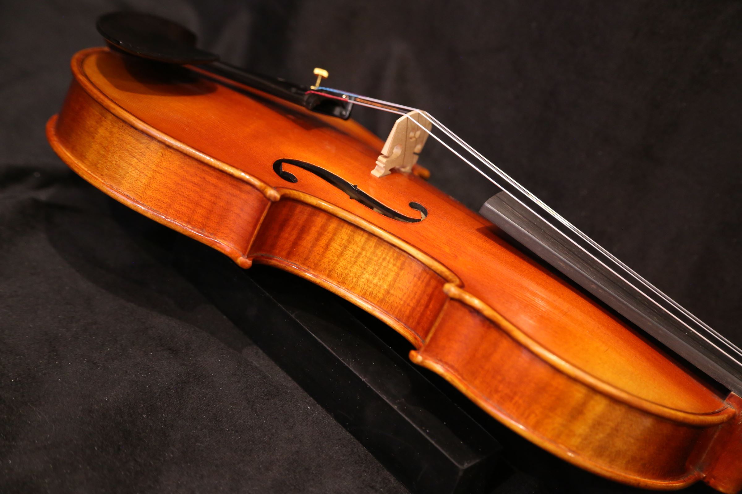 画像17: Ma工房 左利き用・バイオリン・ファインレベル２ピースバック Lefty Violin