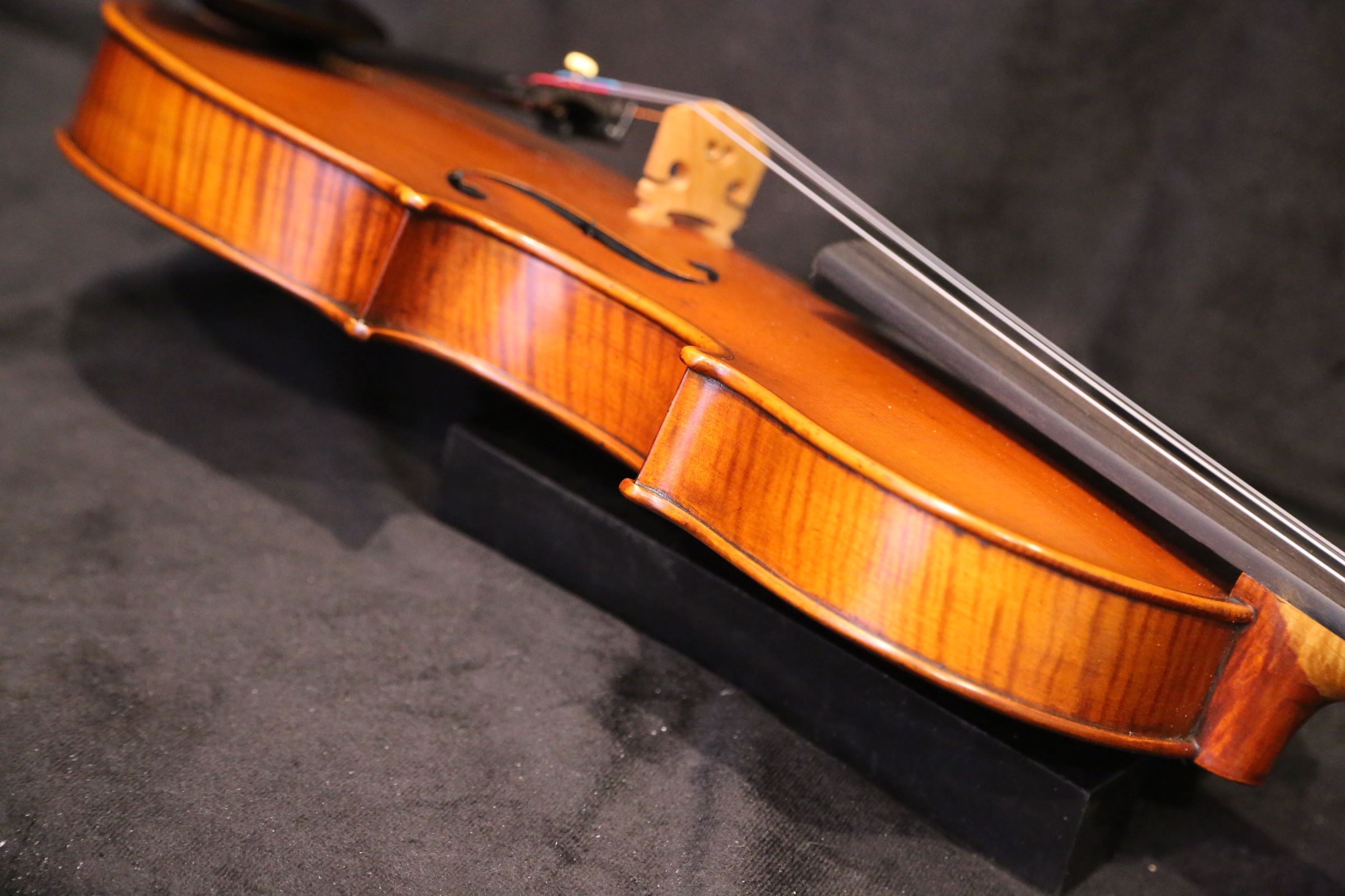 画像20: Ma工房 左利き用・バイオリン・ファインレベル２ピースバック Lefty Violin