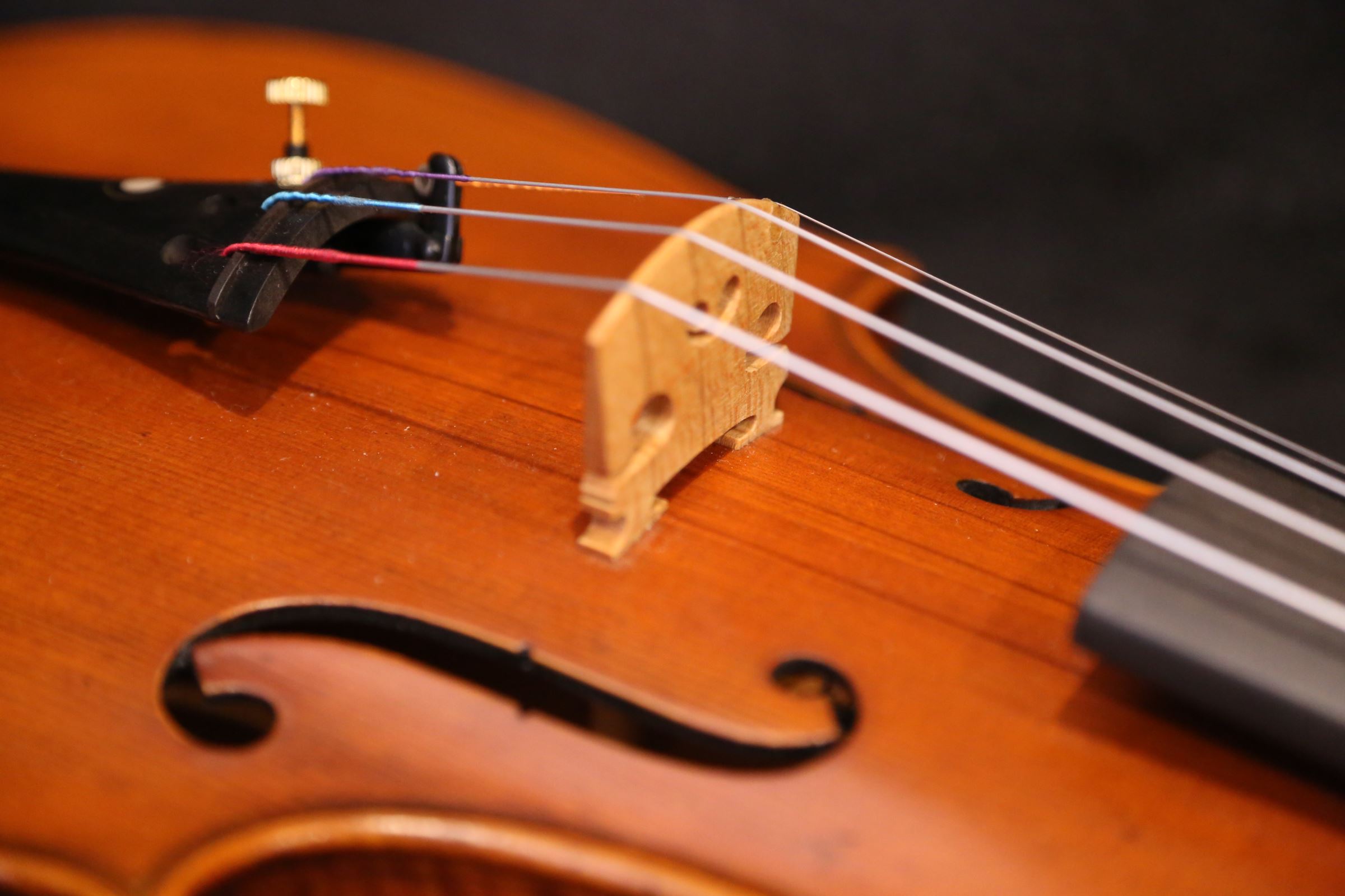 画像: Ma工房 左利き用・バイオリン・ファインレベル２ピースバック Lefty Violin