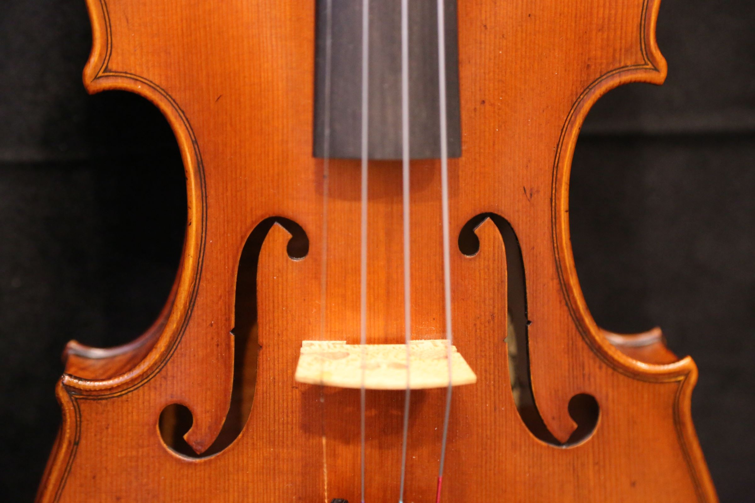 画像13: Ma工房 左利き用・バイオリン・ファインレベル２ピースバック Lefty Violin