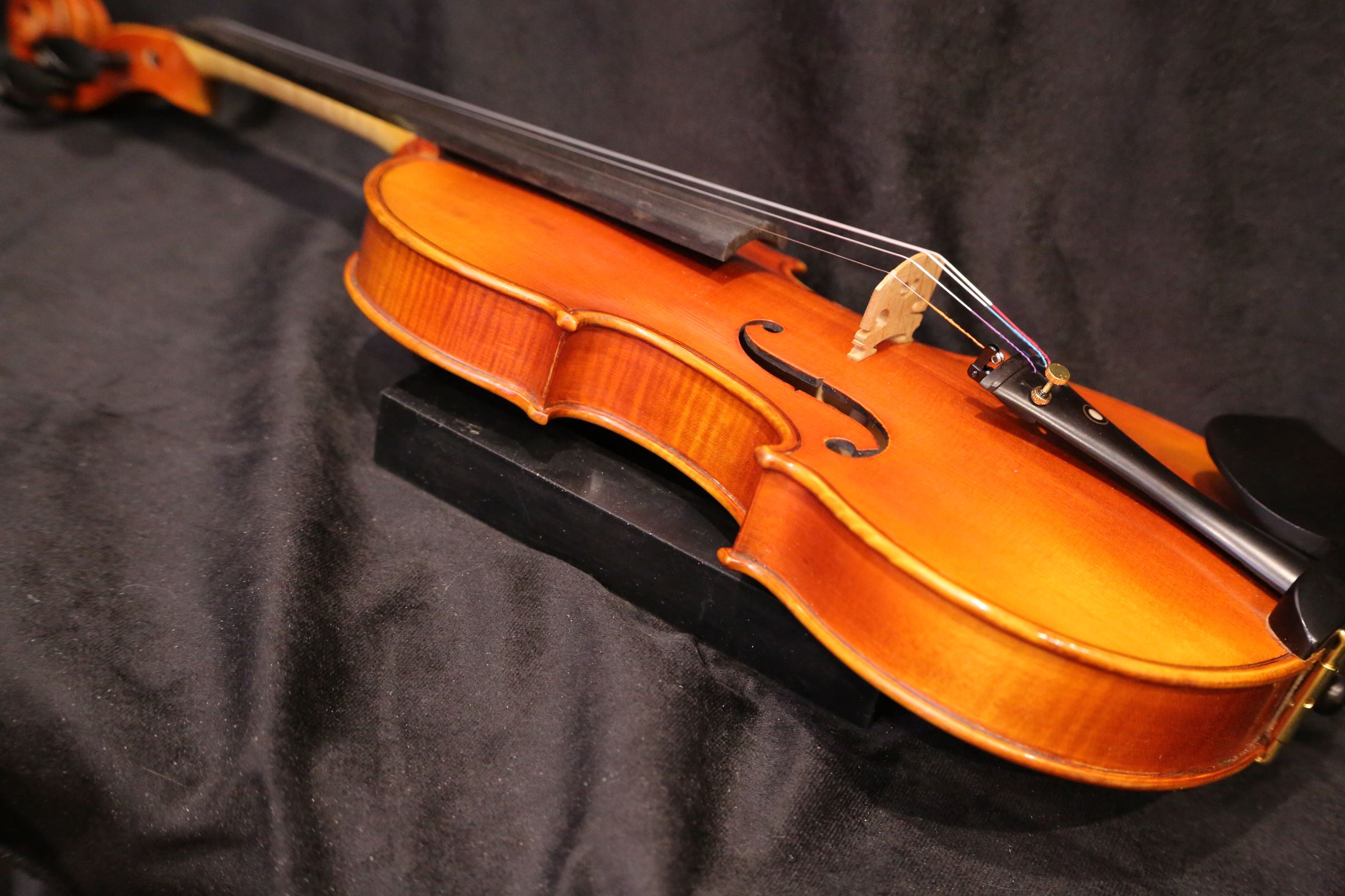画像21: Ma工房 左利き用・バイオリン・ファインレベル２ピースバック Lefty Violin