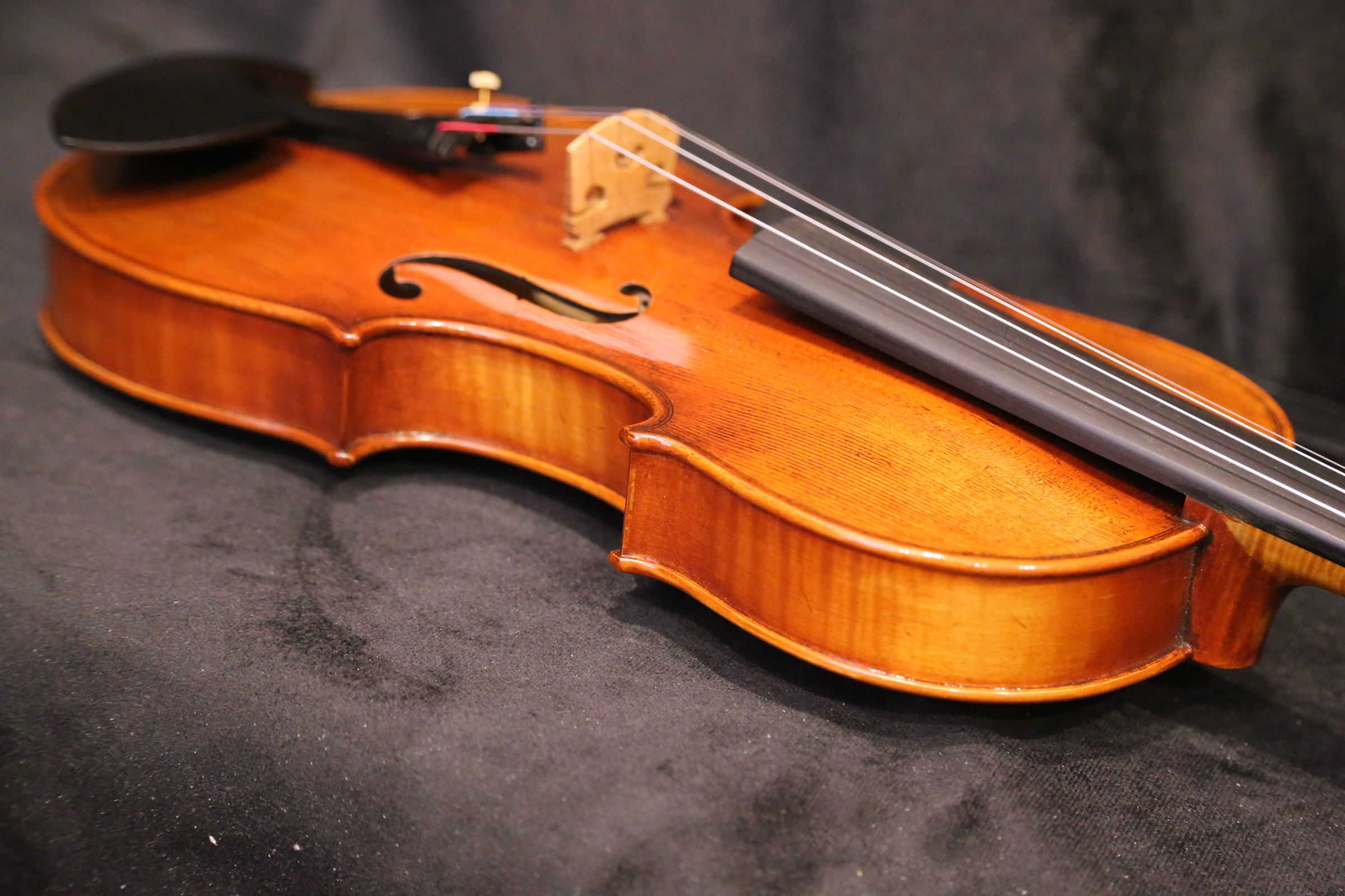 画像20: Ma工房 左利き用・バイオリン・ファインレベル２ピースバック Lefty Violin