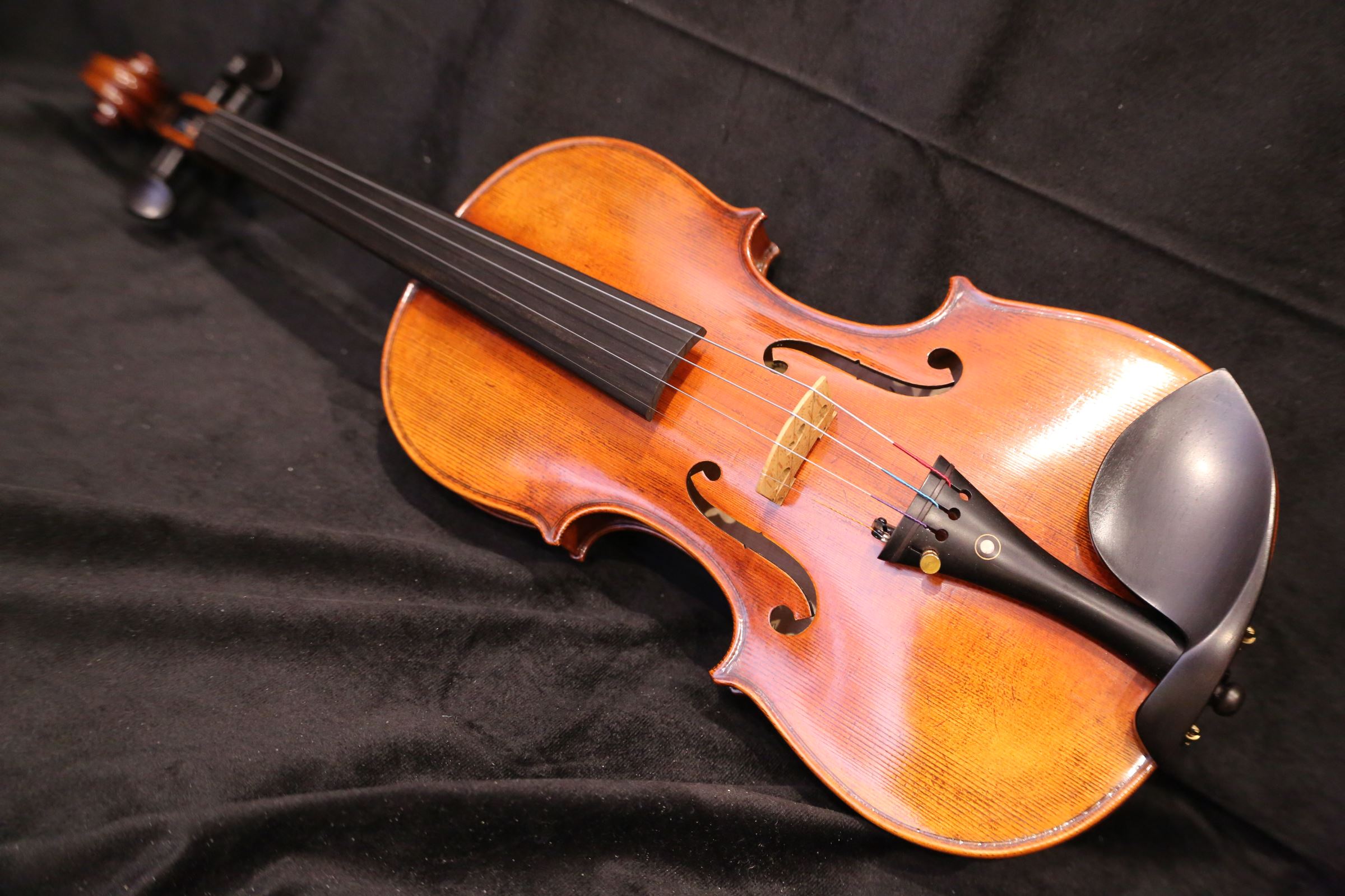 画像9: Ma工房 左利き用・バイオリン・ファインレベル２ピースバック Lefty Violin