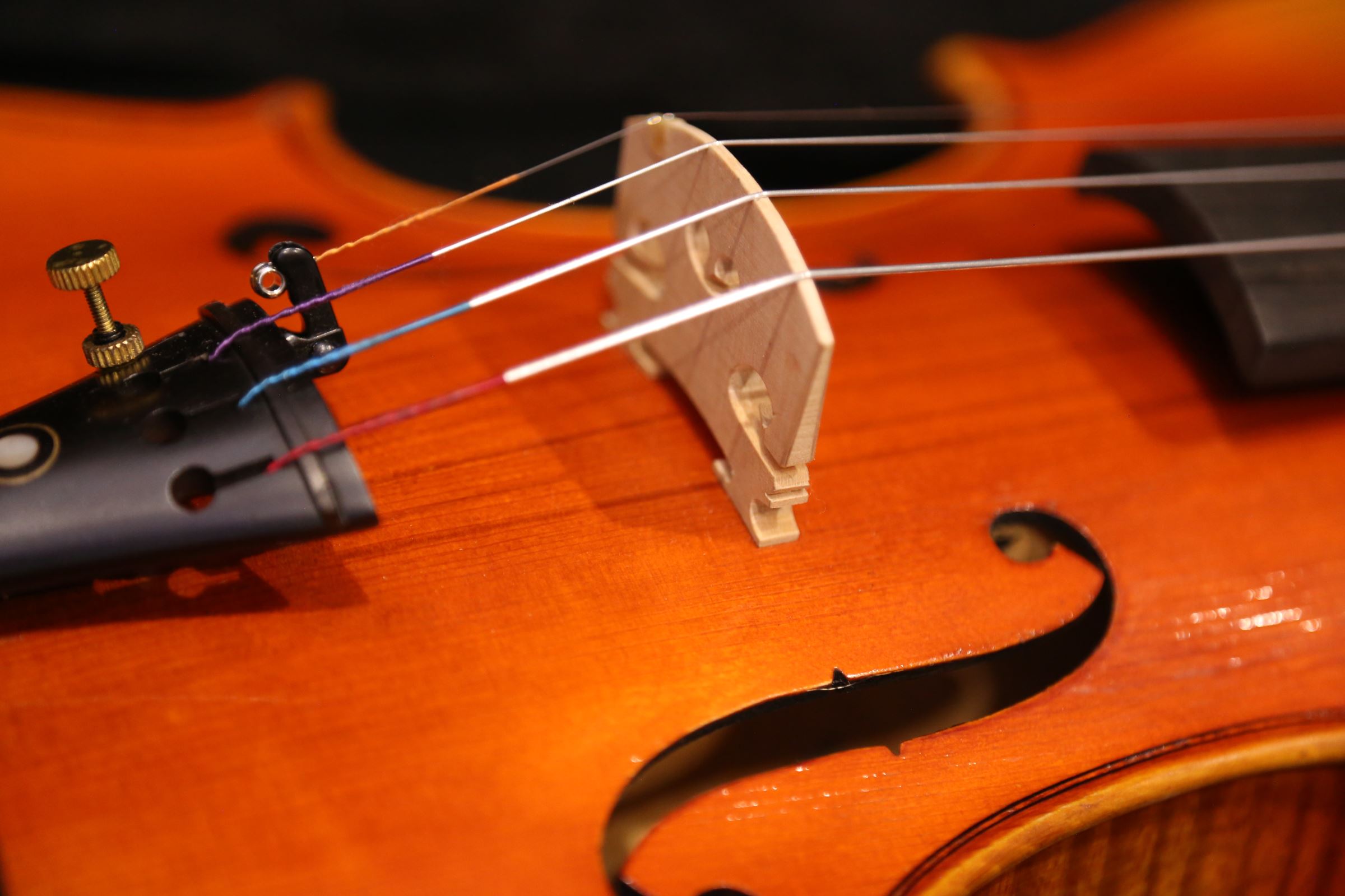 画像15: Ma工房 左利き用・バイオリン・ファインレベル２ピースバック Lefty Violin