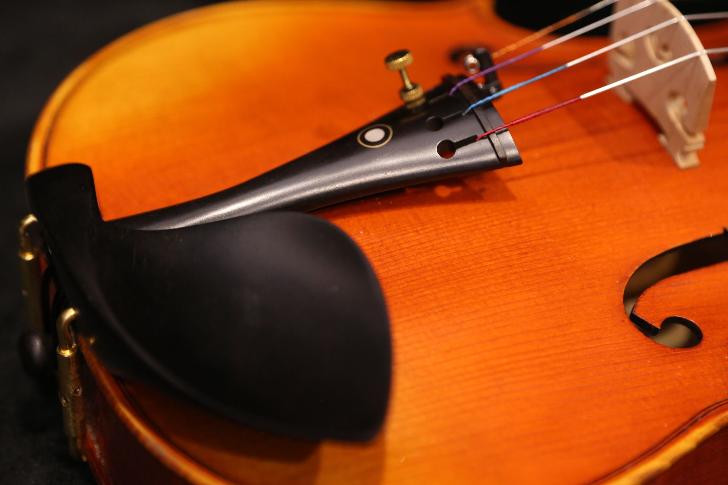 画像16: Ma工房 左利き用・バイオリン・ファインレベル２ピースバック Lefty Violin