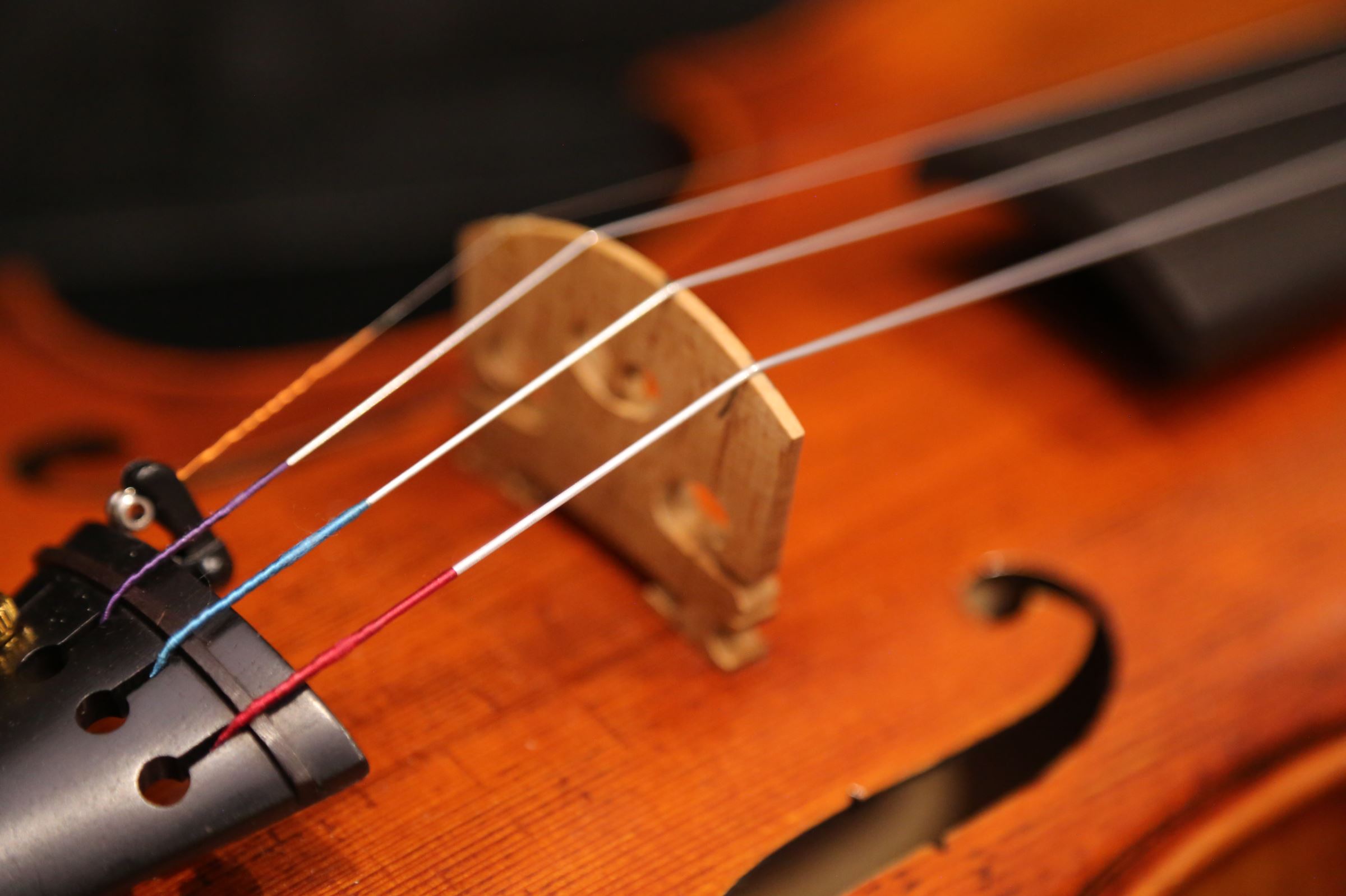 画像: Ma工房 左利き用・バイオリン・ファインレベル２ピースバック Lefty Violin