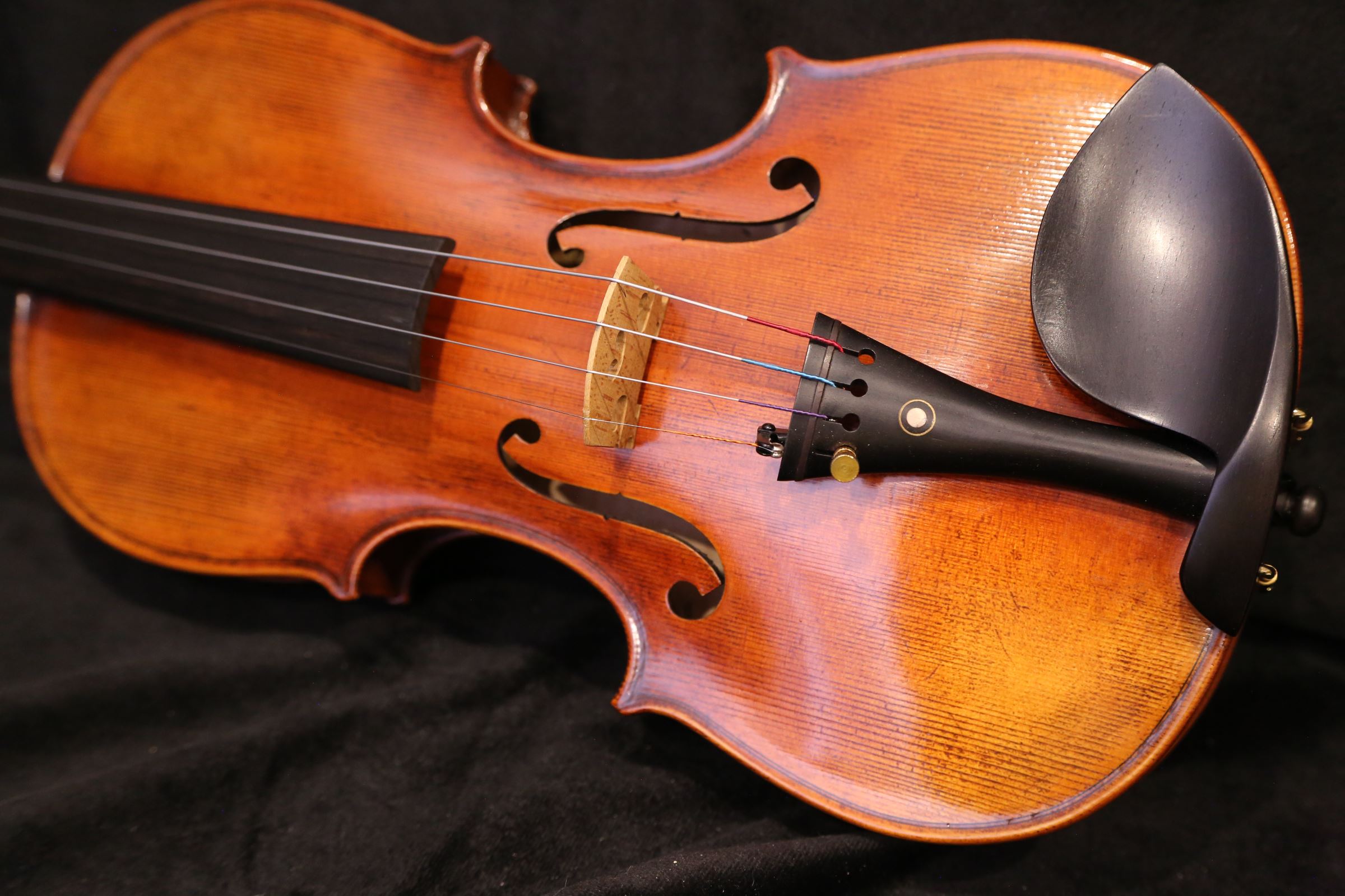 画像8: Ma工房 左利き用・バイオリン・ファインレベル２ピースバック Lefty Violin