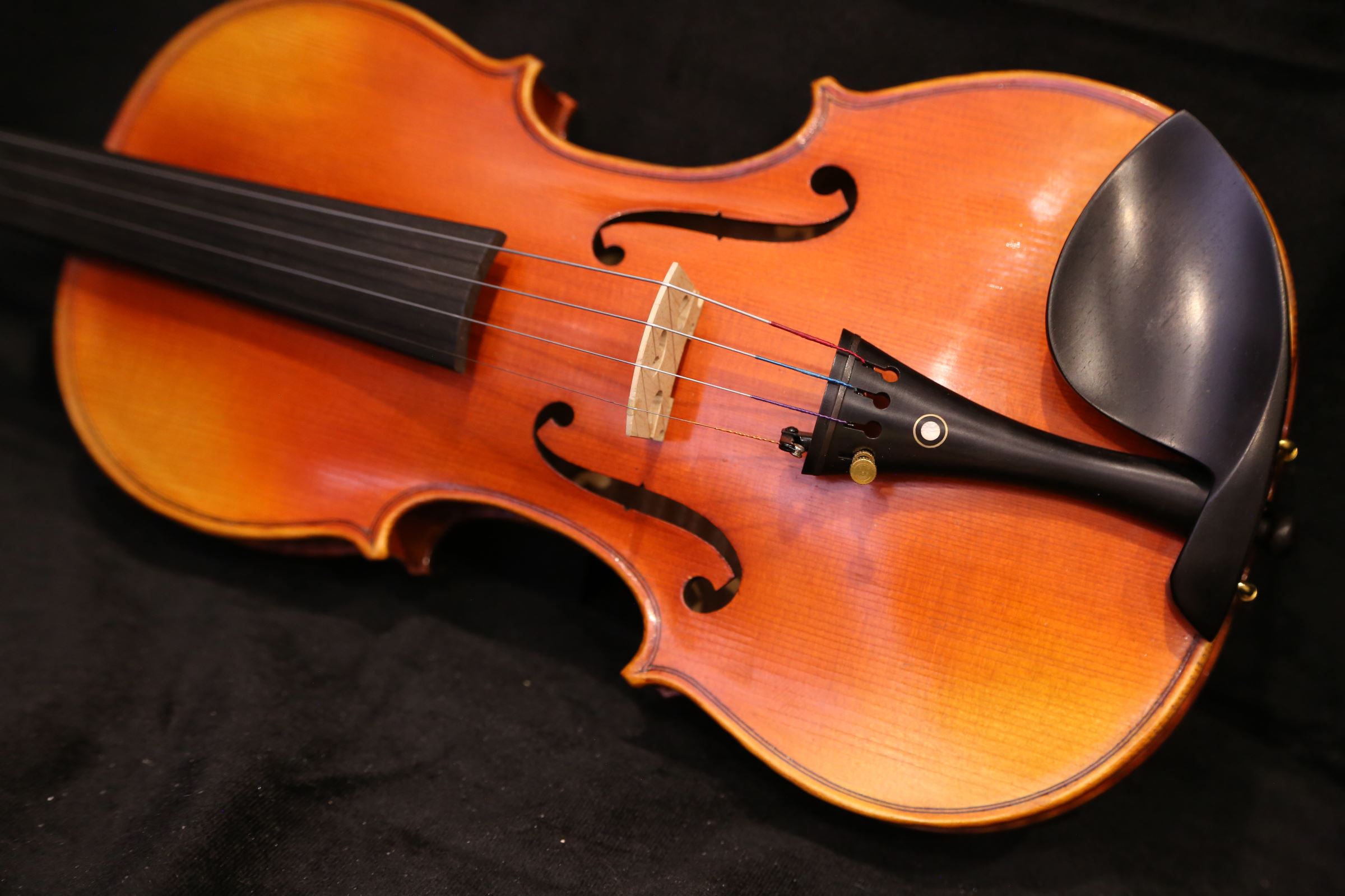 画像8: Ma工房 左利き用・バイオリン・ファインレベル２ピースバック Lefty Violin