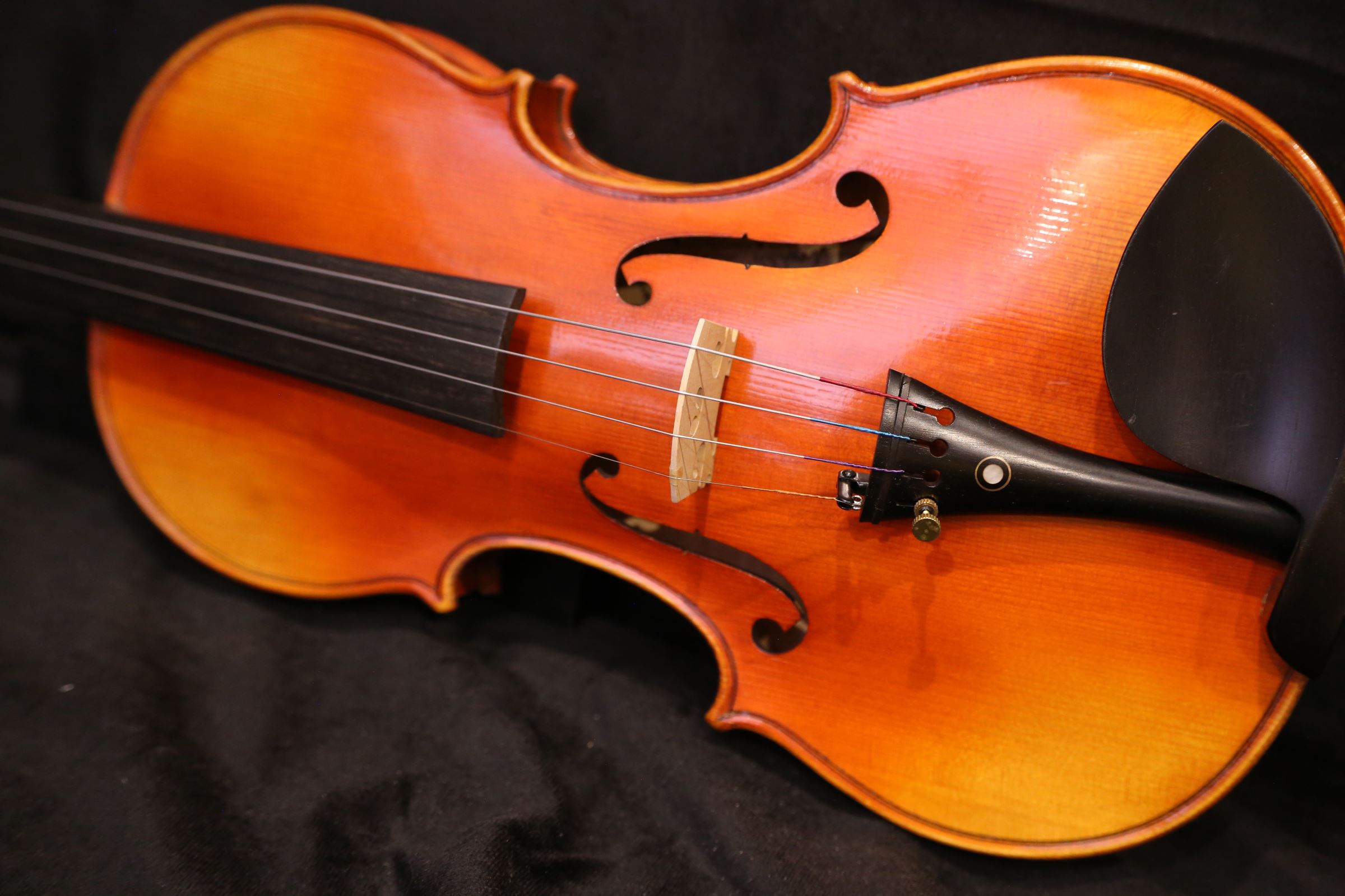 画像8: Ma工房 左利き用・バイオリン・ファインレベル２ピースバック Lefty Violin