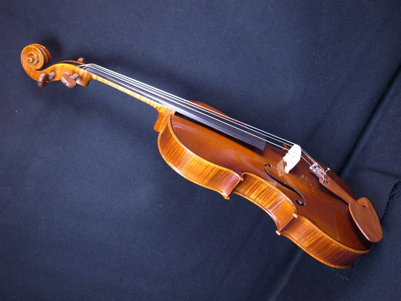 画像: ForestViolin工房１５．５インチ ビオラ クラスＤ