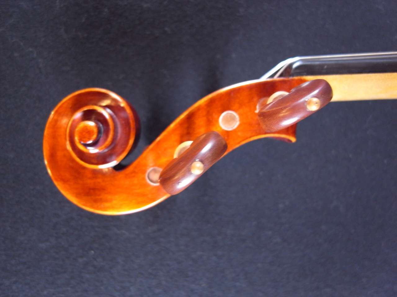 画像: ForestViolin工房ClassDツーピースバック