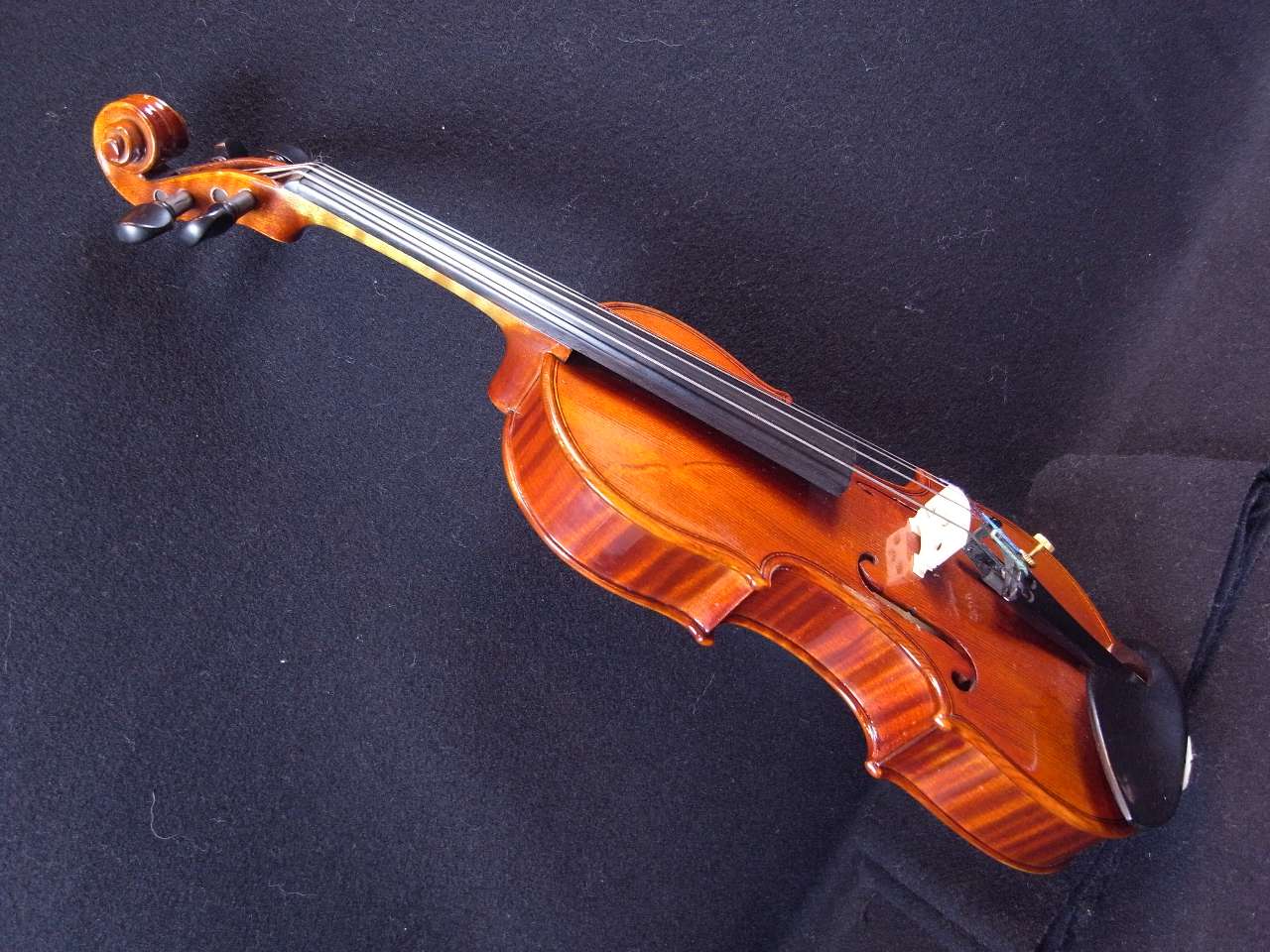 画像: ForestViolin工房ClassA 1/16サイズバイオリン（ケース＆弓無し）