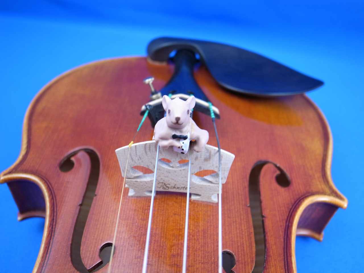 画像: マウストロ・バイオリン・ミュート・トルテ "Moustro" Violin Mute Tourte "Moussy"