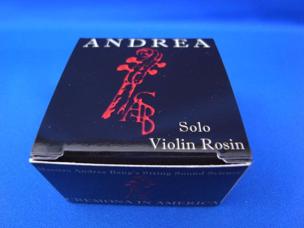 画像: アンドレア・ロジン「ソロ・バイオリン」 Andrea Rosin「Solo Violin」